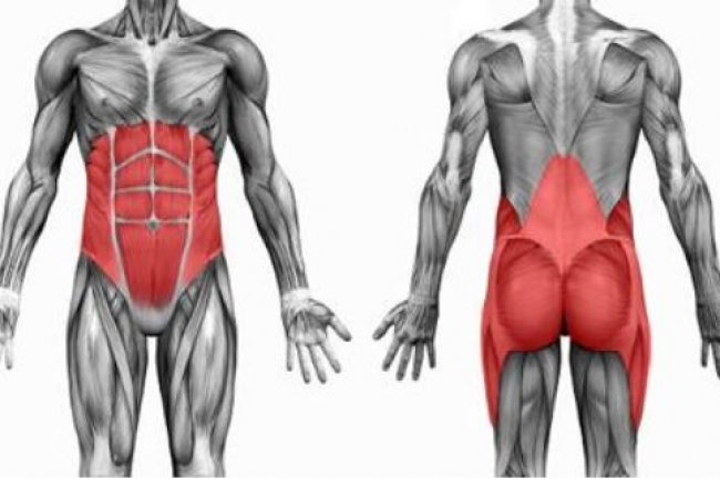 A weak core leads to nothing" 13 methods of freehand core strength training